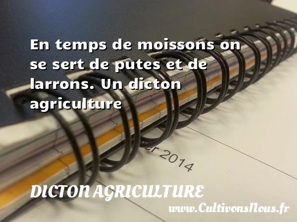 En temps de moissons on se sert de putes - Dicton agriculture