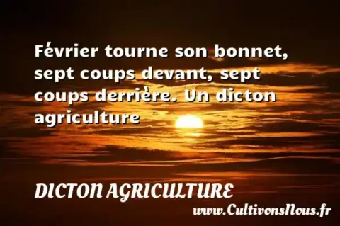 Février tourne son bonnet, sept coups devant, sept coups derrière. Un dicton agriculture DICTON AGRICULTURE
