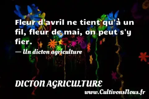 Fleur d avril ne tient qu à un fil, fleur de mai, on peut s y fier. - Un dicton agriculture DICTON AGRICULTURE