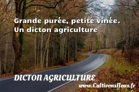 Grande purée, petite vinée. Un dicton agriculture DICTON AGRICULTURE