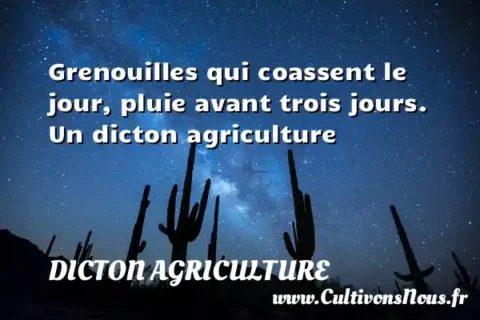 Grenouilles qui coassent le jour, pluie avant trois jours. Un dicton agriculture DICTON AGRICULTURE