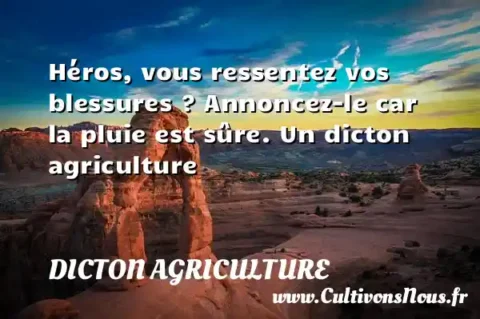 Héros, vous ressentez vos blessures ? Annoncez-le car la pluie est sûre. Un dicton agriculture DICTON AGRICULTURE