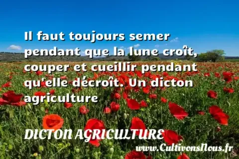 Il faut toujours semer pendant que la lune croît, couper et cueillir pendant qu elle décroît. Un dicton agriculture DICTON AGRICULTURE