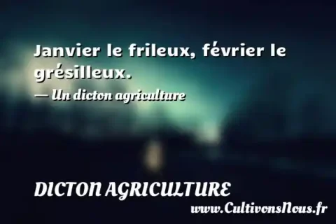 Janvier le frileux, février le grésilleux. - Un dicton agriculture DICTON AGRICULTURE