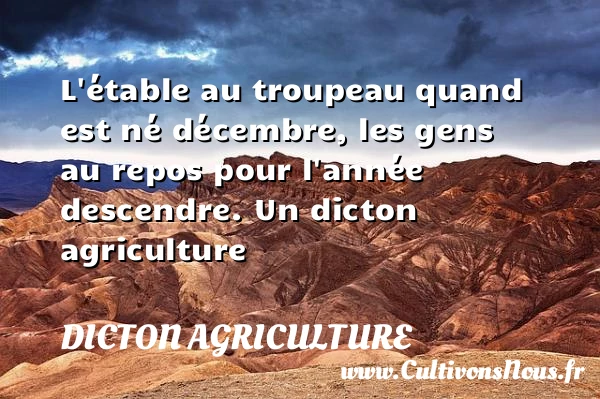L’étable au troupeau quand est né décembre, les gens au repos pour - Dicton agriculture