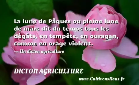 La lune de Pâques ou pleine lune de mars dit du temps tous les dégâts, en tempête, en ouragan, comme en orage violent. - Un dicton agriculture DICTON AGRICULTURE