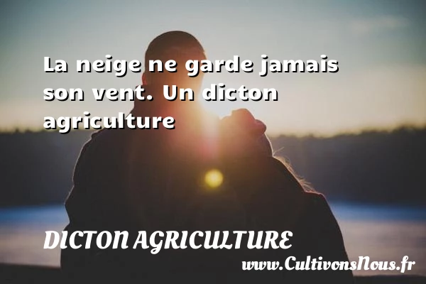 La neige ne garde jamais son vent. - Dicton agriculture
