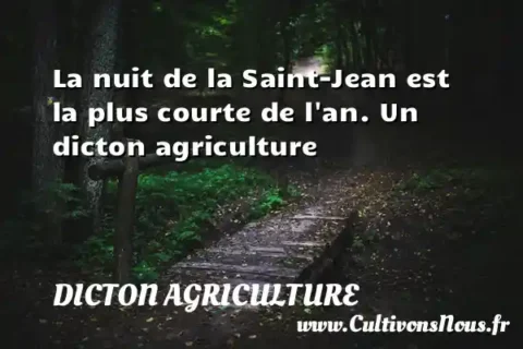 La nuit de la Saint-Jean est la plus courte de l an. Un dicton agriculture DICTON AGRICULTURE