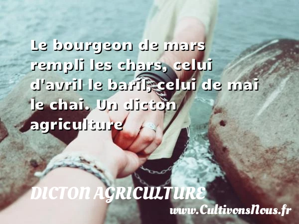 Le bourgeon de mars rempli les chars, celui - Dicton agriculture