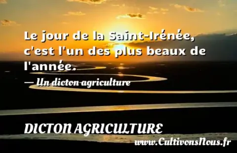 Le jour de la Saint-Irénée, c est l un des plus beaux de l année. - Un dicton agriculture DICTON AGRICULTURE