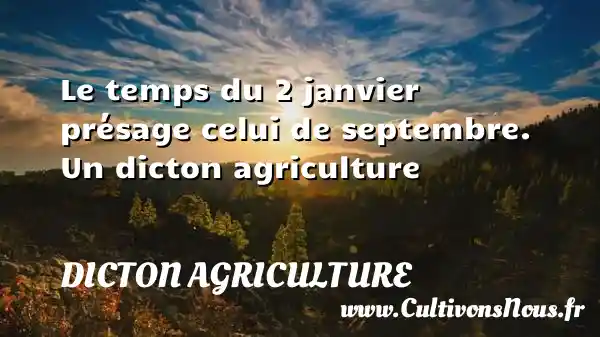 Le temps du 2 janvier présage celui de septembre. Un dicton agriculture DICTON AGRICULTURE