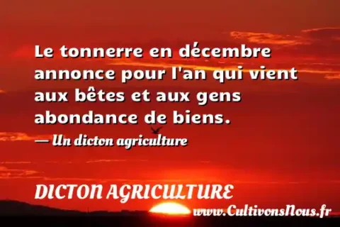Le tonnerre en décembre annonce pour l an qui vient aux bêtes et aux gens abondance de biens. - Un dicton agriculture DICTON AGRICULTURE