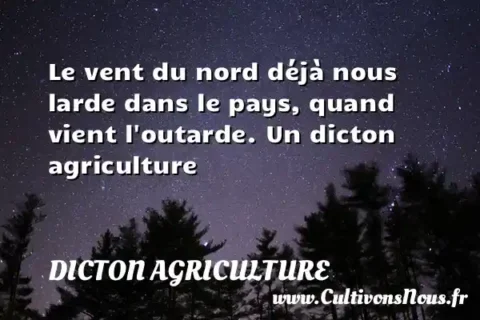 Le vent du nord déjà nous larde dans le pays, quand vient l outarde. Un dicton agriculture DICTON AGRICULTURE