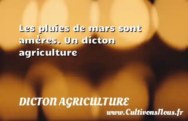 Les pluies de mars sont amères. Un dicton agriculture DICTON AGRICULTURE