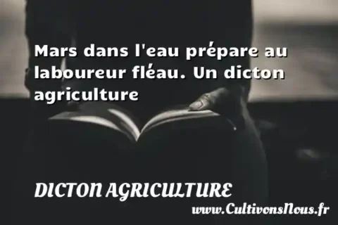 Mars dans l eau prépare au laboureur fléau. Un dicton agriculture DICTON AGRICULTURE