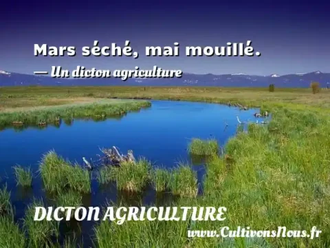 Mars séché, mai mouillé. - Un dicton agriculture DICTON AGRICULTURE