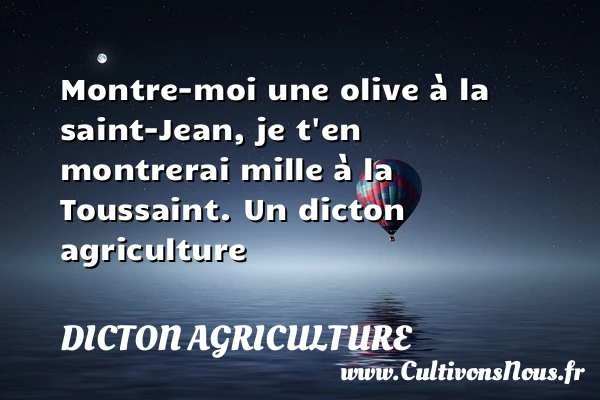 Montre-moi une olive à la saint-Jean, je t’en montrerai mille à la - Dicton agriculture