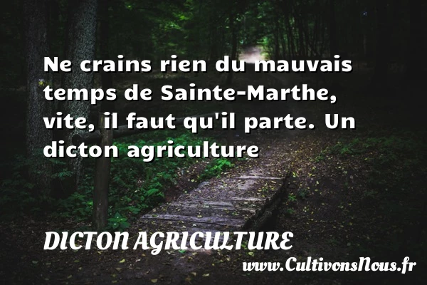 Ne crains rien du mauvais temps de Sainte-Marthe, vite, - Dicton agriculture