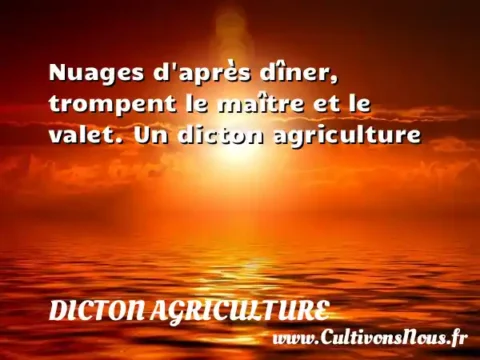 Nuages d après dîner, trompent le maître et le valet. Un dicton agriculture DICTON AGRICULTURE