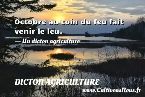 Octobre au coin du feu fait venir le leu. - Un dicton agriculture DICTON AGRICULTURE