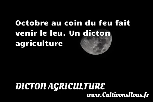 Octobre au coin du feu fait venir le - Dicton agriculture