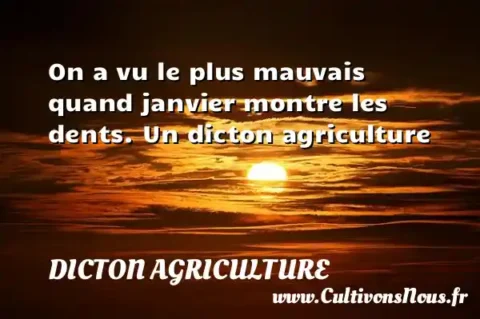 On a vu le plus mauvais quand janvier montre les dents. Un dicton agriculture DICTON AGRICULTURE