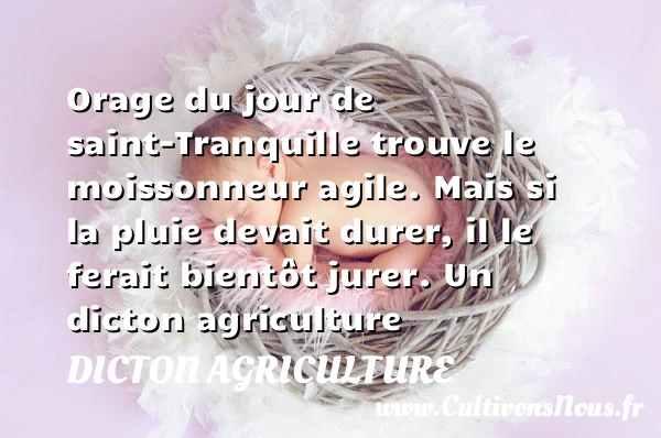 Orage du jour de saint-Tranquille trouve le moissonneur agile. - Dicton agriculture