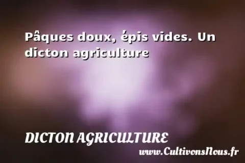 Pâques doux, épis vides. Un dicton agriculture DICTON AGRICULTURE