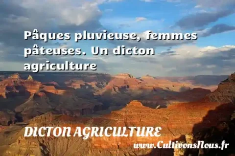 Pâques pluvieuse, femmes pâteuses. Un dicton agriculture DICTON AGRICULTURE