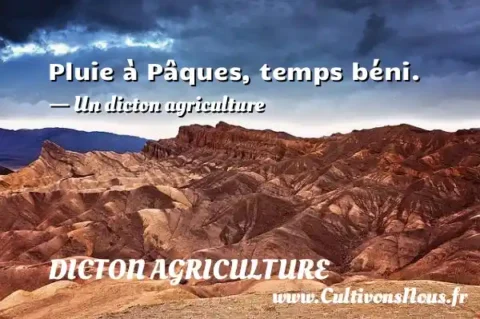Pluie à Pâques, temps béni. - Un dicton agriculture DICTON AGRICULTURE