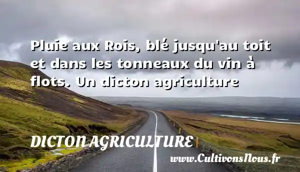 Pluie aux Rois, blé jusqu au toit et dans les tonneaux du vin à flots. Un dicton agriculture DICTON AGRICULTURE