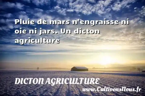 Pluie de mars n engraisse ni oie ni jars. Un dicton agriculture DICTON AGRICULTURE
