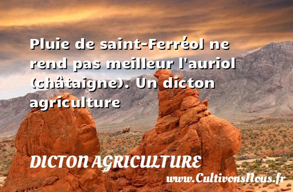Pluie de saint-Ferréol ne rend pas meilleur l’auriol - Dicton agriculture