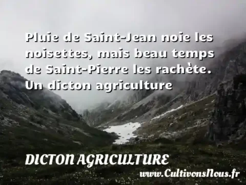 Pluie de Saint-Jean noie les noisettes, mais beau temps de Saint-Pierre les rachète. Un dicton agriculture DICTON AGRICULTURE