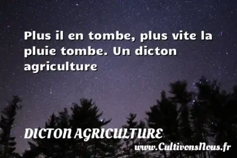 Plus il en tombe, plus vite la pluie tombe. Un dicton agriculture DICTON AGRICULTURE