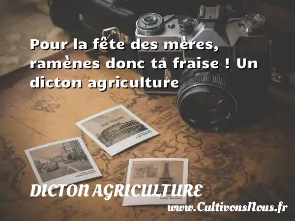 Pour la fête des mères, ramènes donc ta fraise ! Un dicton agriculture DICTON AGRICULTURE