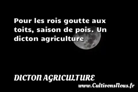 Pour les rois goutte aux toits, saison de pois. Un dicton agriculture DICTON AGRICULTURE