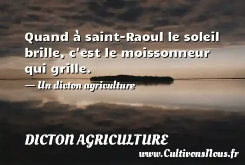 Quand à saint-Raoul le soleil brille, c est le moissonneur qui grille. - Un dicton agriculture DICTON AGRICULTURE