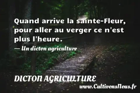 Quand arrive la sainte-Fleur, pour aller au verger ce n est plus l heure. - Un dicton agriculture DICTON AGRICULTURE