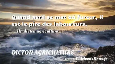 Quand avril se met en fureur, il est le pire des laboureurs. - Un dicton agriculture DICTON AGRICULTURE