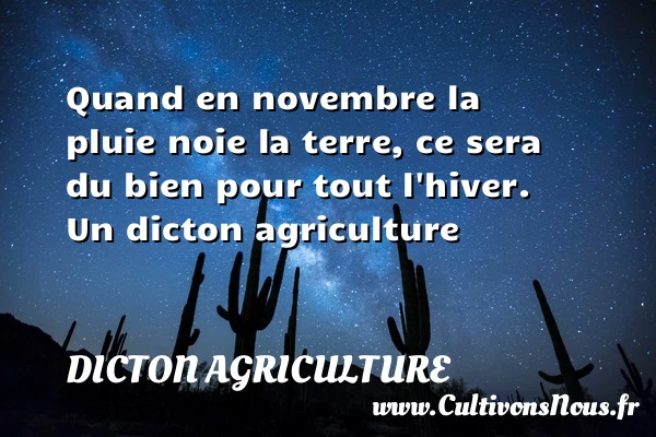 Quand en novembre la pluie noie la terre, ce - Dicton agriculture