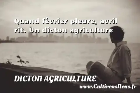 Quand février pleure, avril rit. Un dicton agriculture DICTON AGRICULTURE