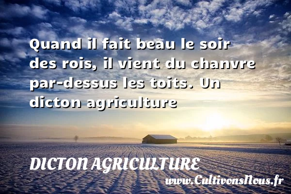 Quand il fait beau le soir des rois, il vient - Dicton agriculture