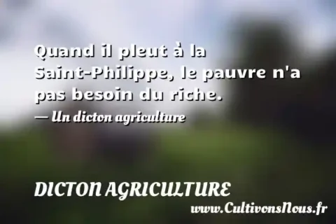 Quand il pleut à la Saint-Philippe, le pauvre n a pas besoin du riche. - Un dicton agriculture DICTON AGRICULTURE