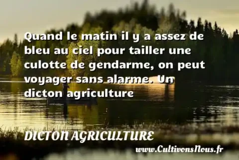 Quand le matin il y a assez de bleu au ciel pour tailler une culotte de gendarme, on peut voyager sans alarme. Un dicton agriculture DICTON AGRICULTURE