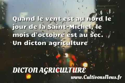 Quand le vent est au nord le jour de la Saint-Michel, le mois d octobre est au sec. Un dicton agriculture DICTON AGRICULTURE