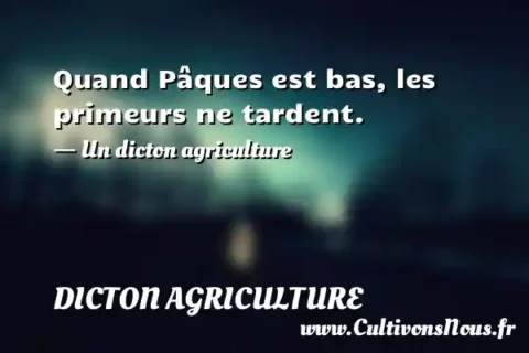 Quand Pâques est bas, les primeurs ne tardent. - Un dicton agriculture DICTON AGRICULTURE