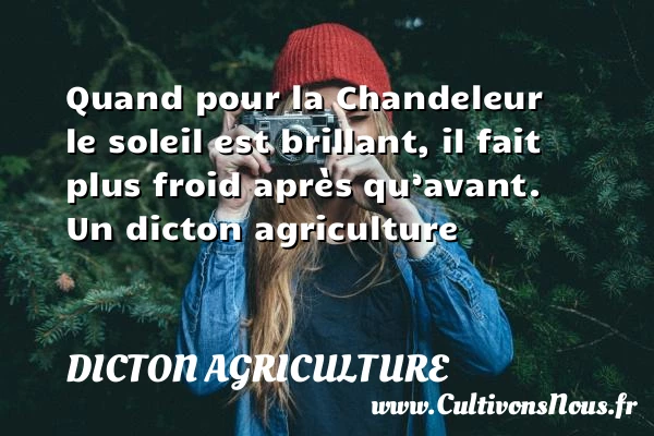 Quand pour la Chandeleur le soleil est brillant, il fait plus froid - Dicton agriculture