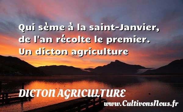 Qui sème à la saint-Janvier, de l’an récolte - Dicton agriculture