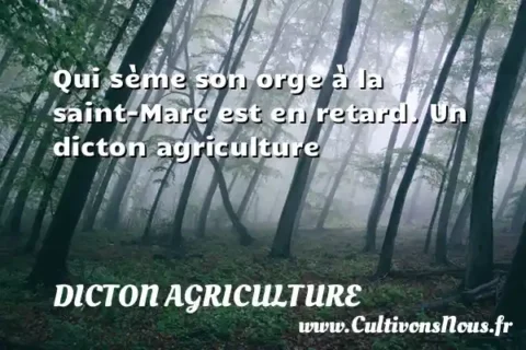 Qui sème son orge à la saint-Marc est en retard. Un dicton agriculture DICTON AGRICULTURE
